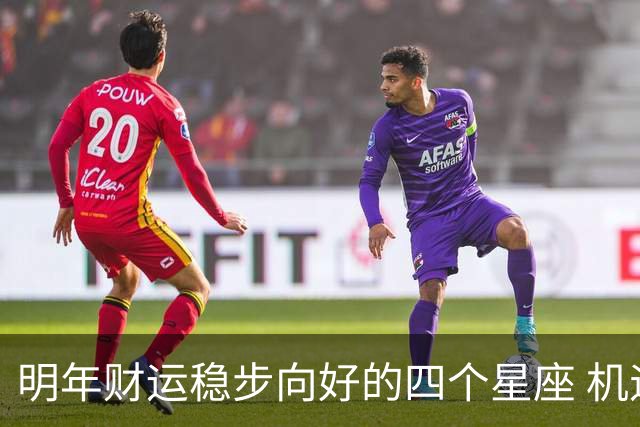 明年财运稳步向好的四个星座 机遇增多
